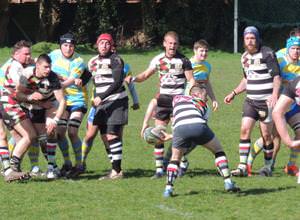 Rugby Reports 4th April 2015